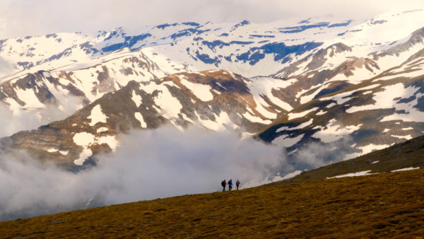 Mulhacén, le seigneur andalou... film documentaire réalisé dans la Sierra Nevada en Andalousie - OrnyCam Production